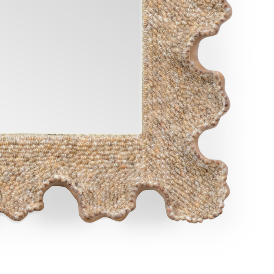 Scalloped Shell Mirror, front view - Starboard Lane