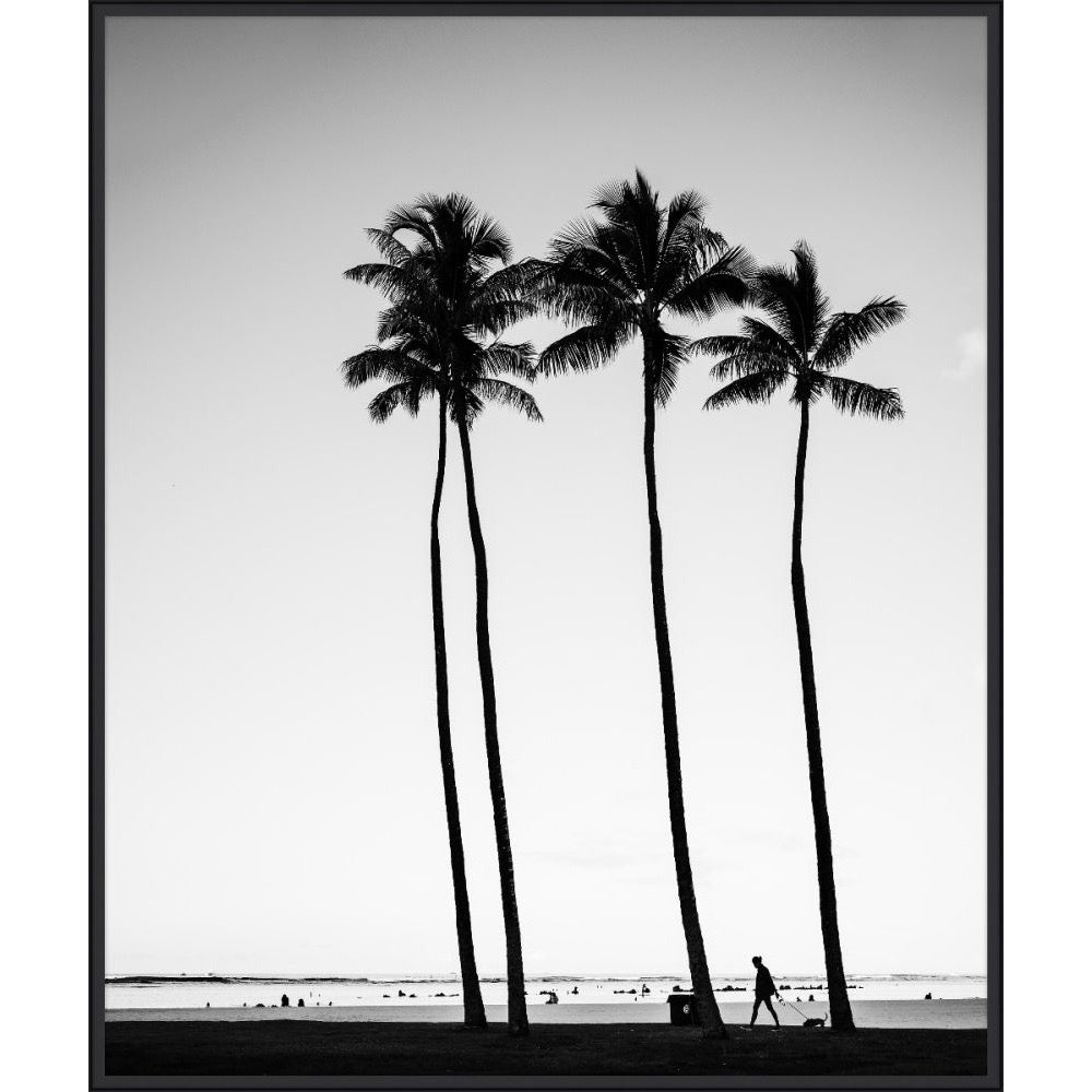 Black and white photograph of four tall palm silhouettes over the shoreline at dusk