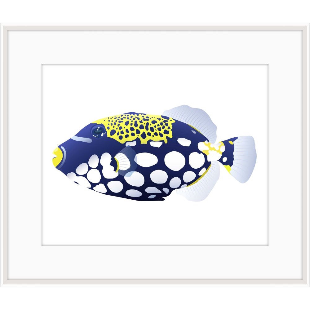 Graphic illustration of an indigo clown triggerfish with white spots on a white background