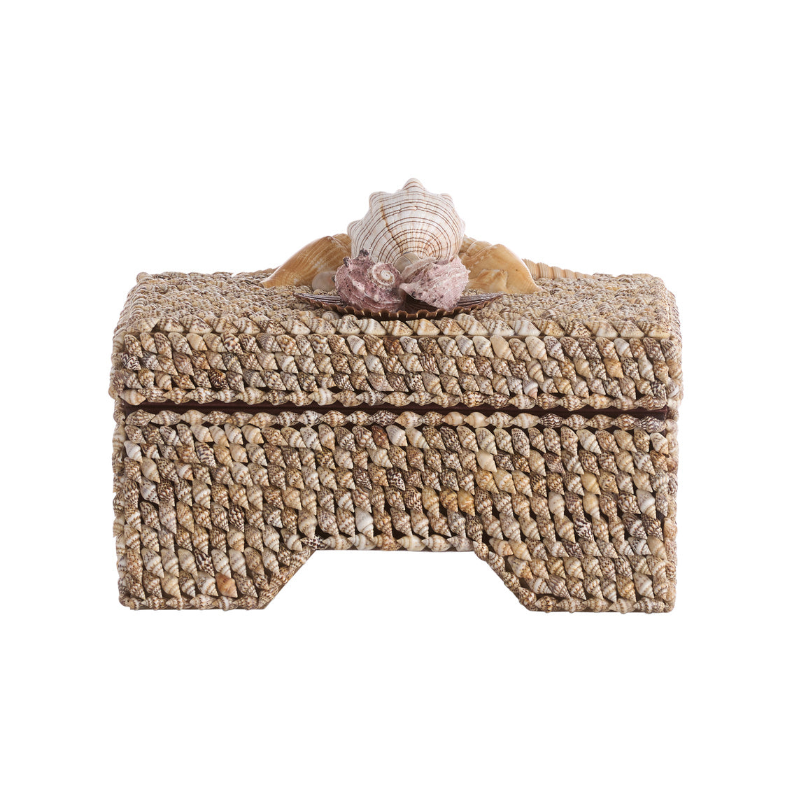 Island Shell Box, side view - Starboard Lane