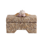 Island Shell Box, side view - Starboard Lane