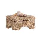 Island Shell Box, angled view - Starboard Lane