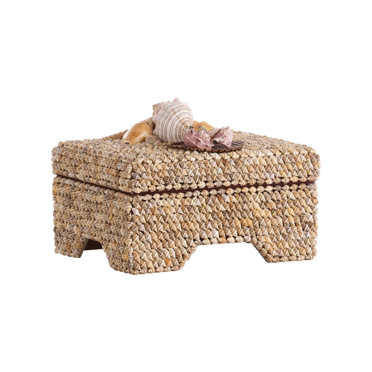 Island Shell Box, angled view - Starboard Lane