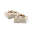 White Shell Box, Set of 2, angled view - Starboard Lane
