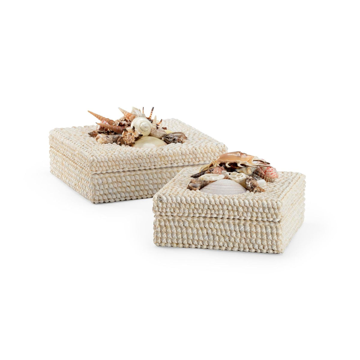 White Shell Box, Set of 2, angled view - Starboard Lane