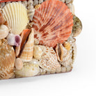Large Shell Box, front view - Starboard Lane