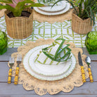 Peacock Raffia Placemat, Set of 4 - Starboard Lane