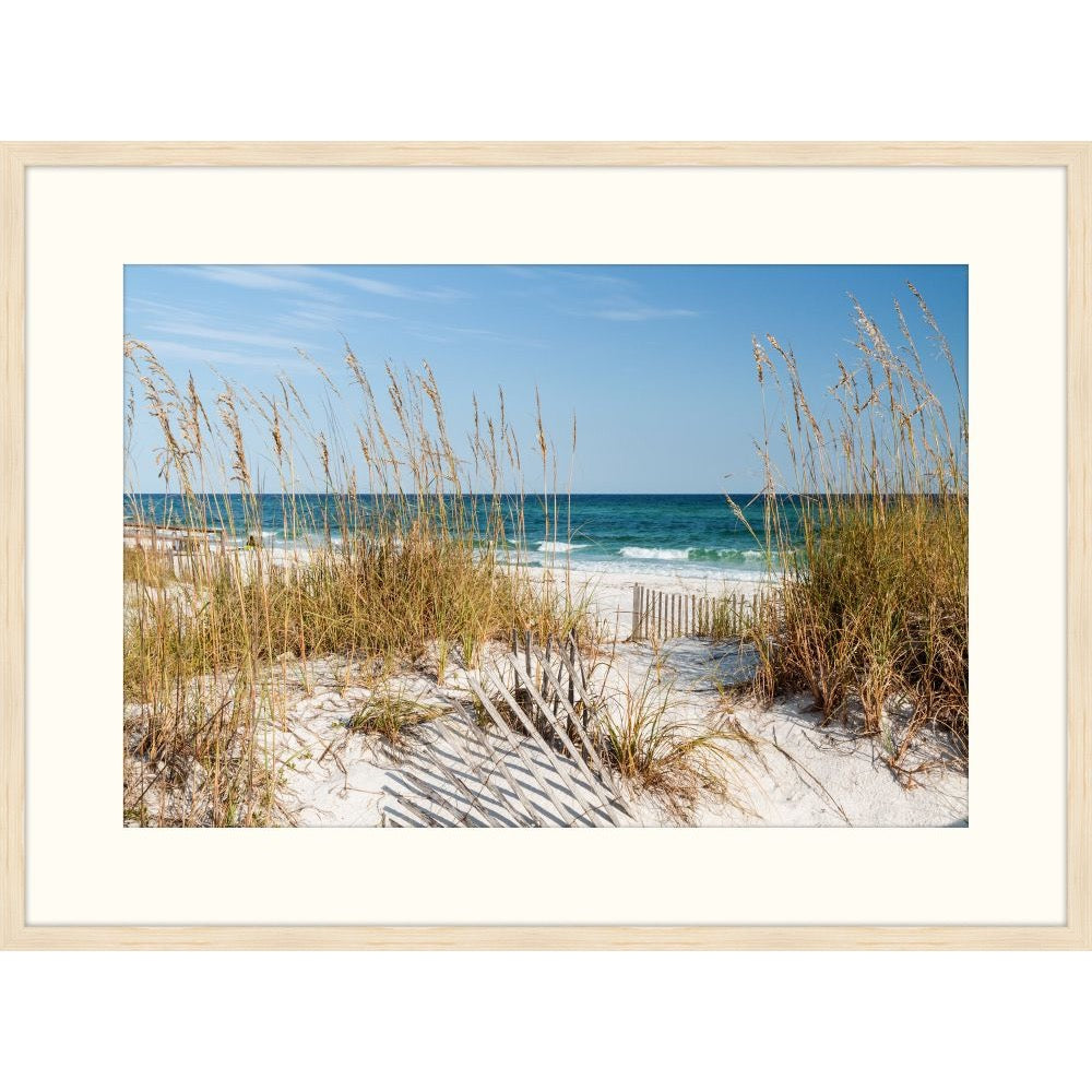 Photograph of sea oats and weathered dune fences leading to turquoise water