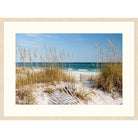 Photograph of sea oats and weathered dune fences leading to turquoise water