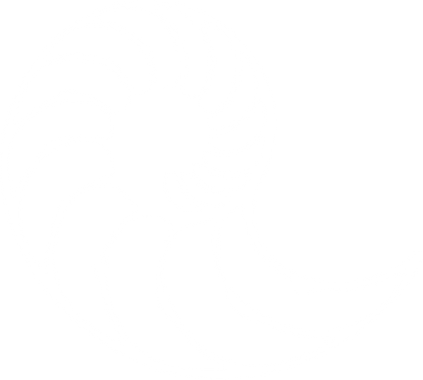 Trade Program