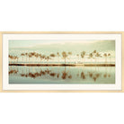 Panoramic photograph of palm trees reflected in a still inlet at dawn in soft green and gold