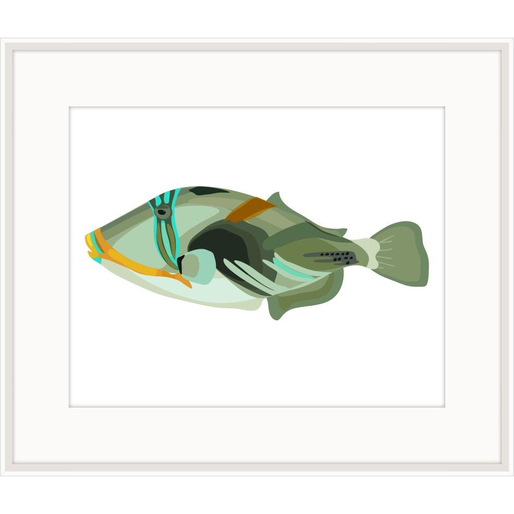 Graphic illustration of a sage and jade Picasso triggerfish on a white background