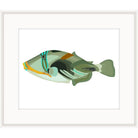 Graphic illustration of a sage and jade Picasso triggerfish on a white background