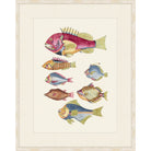 Antique natural history print of colorful tropical fish after Louis Renard, cream frame