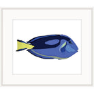 Graphic illustration of a violet and cobalt blue tang fish on a white background